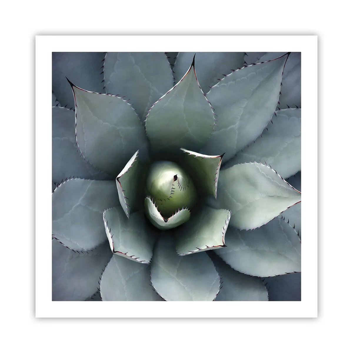 Plakat - Lokkemad og advarsler - 60x60 cm