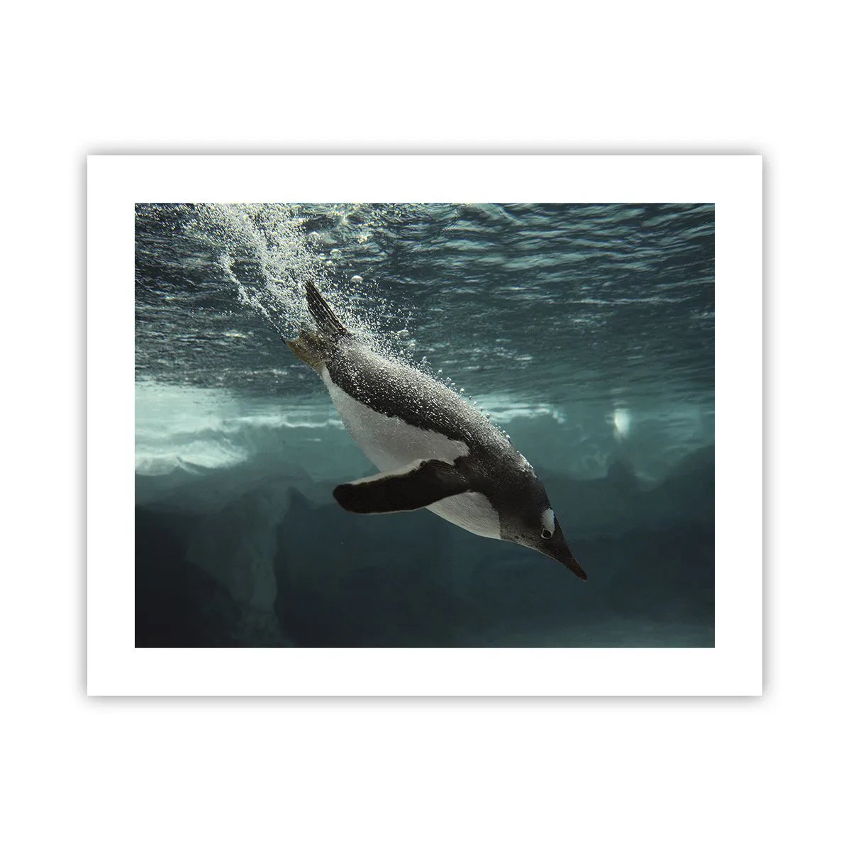 Plakat - Velkommen til min verden - 50x40 cm