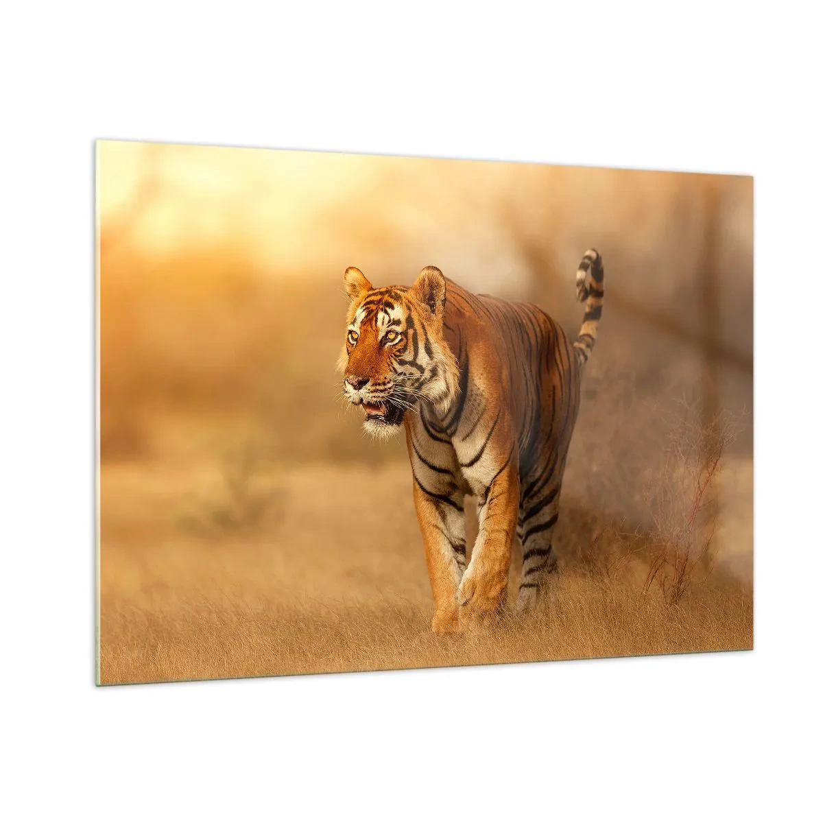 Billede på glas - Før angrebet - 100x70 cm