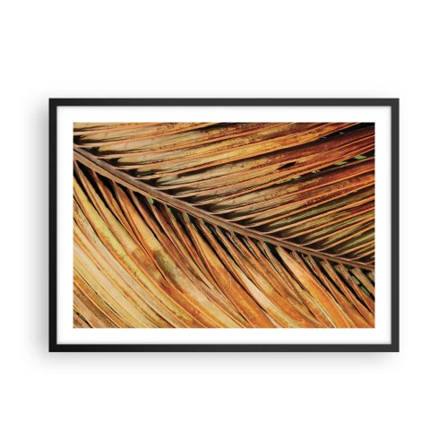 Plakat i sort ramme - Kokosnød guld - 70x50 cm