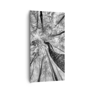 Lærredstryk - Billede på lærred - Kapløb mod lyset - 65x120 cm