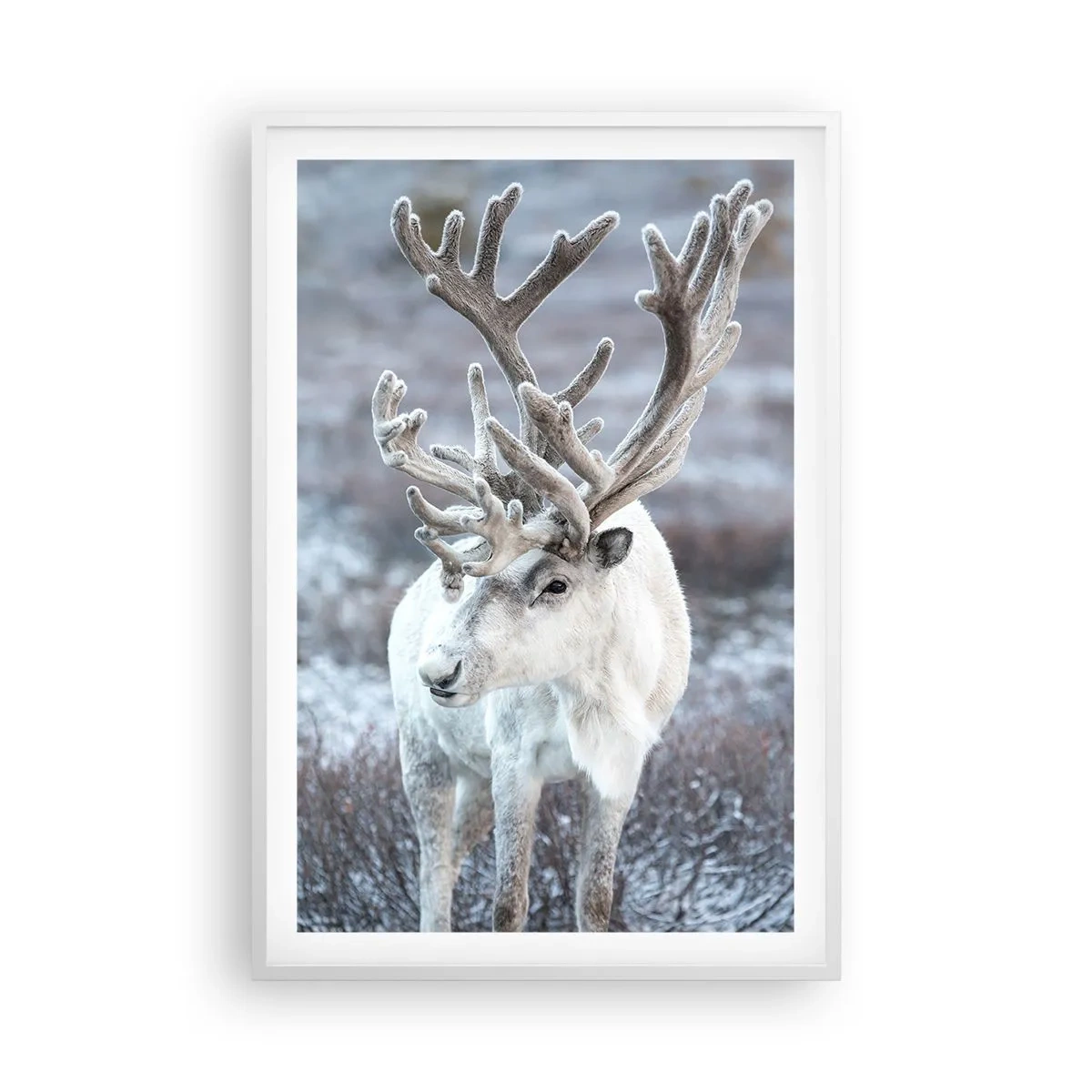 Plakat i hvid ramme - Portræt i solen - 61x91 cm