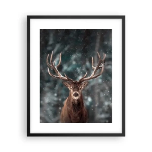 Plakat i sort ramme - Skovens konge kronet - 40x50 cm