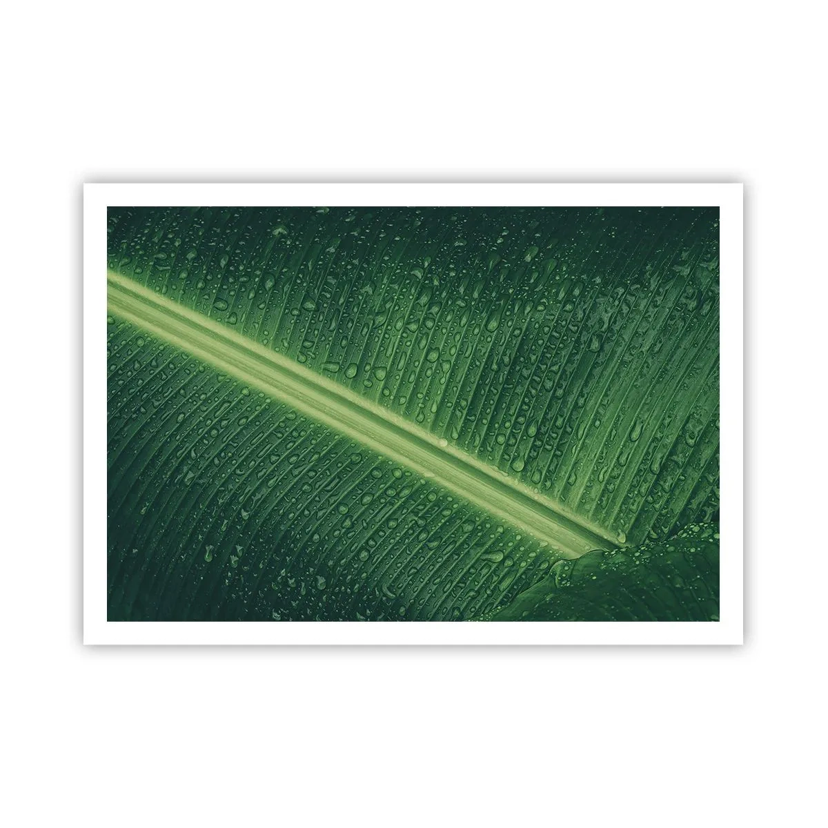 Plakat - Grøn struktur - 100x70 cm