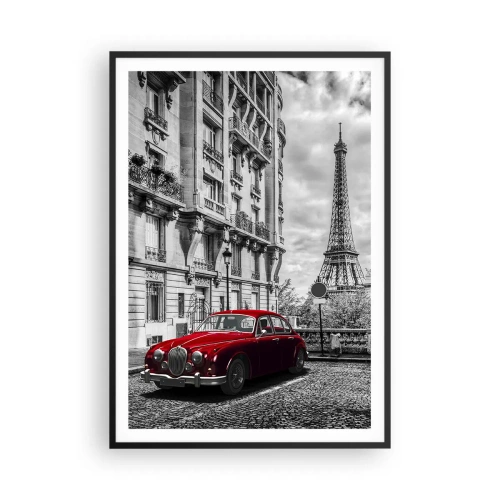 Plakat i sort ramme - Rovdyr i byen - 70x100 cm