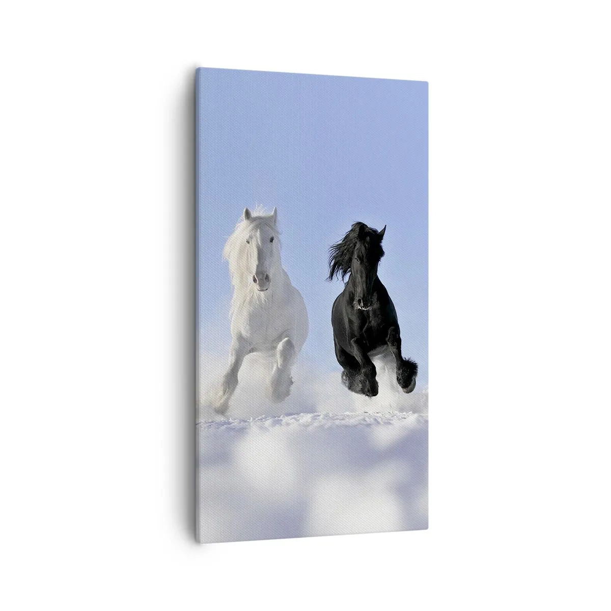 Lærredstryk - Billede på lærred - Sort og hvid galop - 55x100 cm