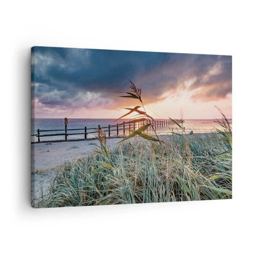 Lærredstryk - Billede på lærred - Strand ved solnedgang med græs i forgrunden - 70x50cm - Ikke passerer med vinden - Moderne vægdekoration til stue og soveværelse ARTTOR