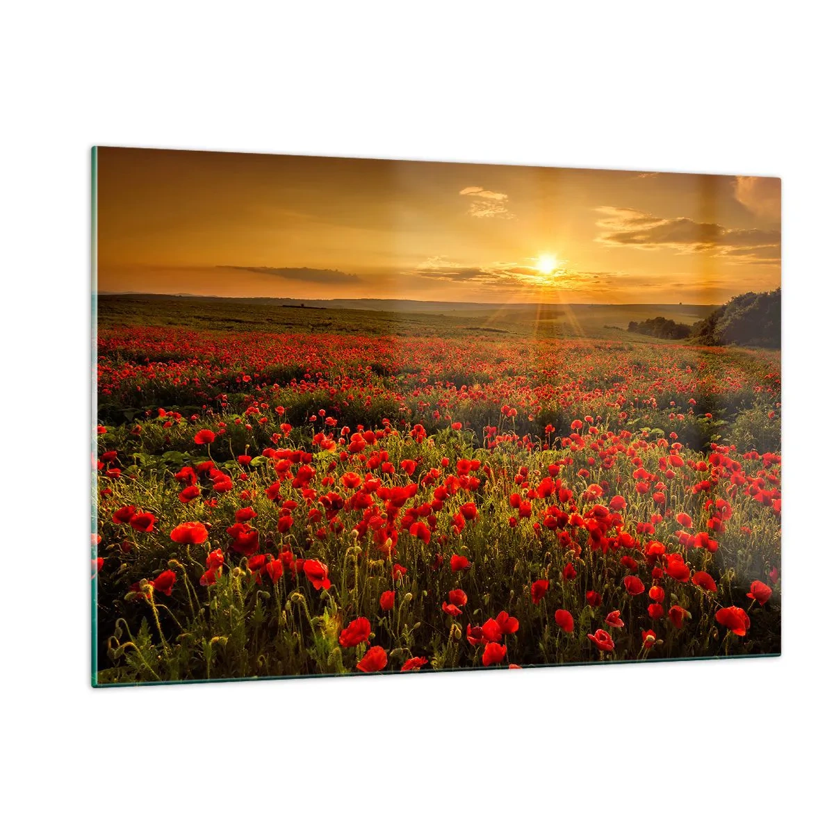 Billede på glas - Blandt bølgerne af raslende enge, blandt flodblomster - 120x80 cm