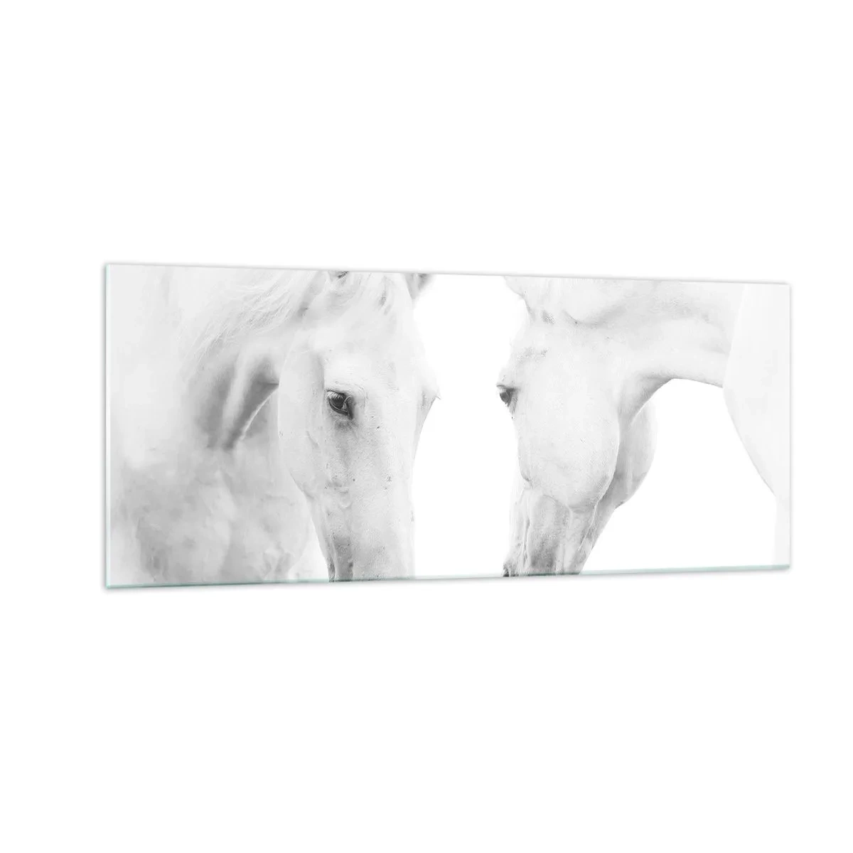 Billede på glas - Er dette venskab...? - 100x40 cm