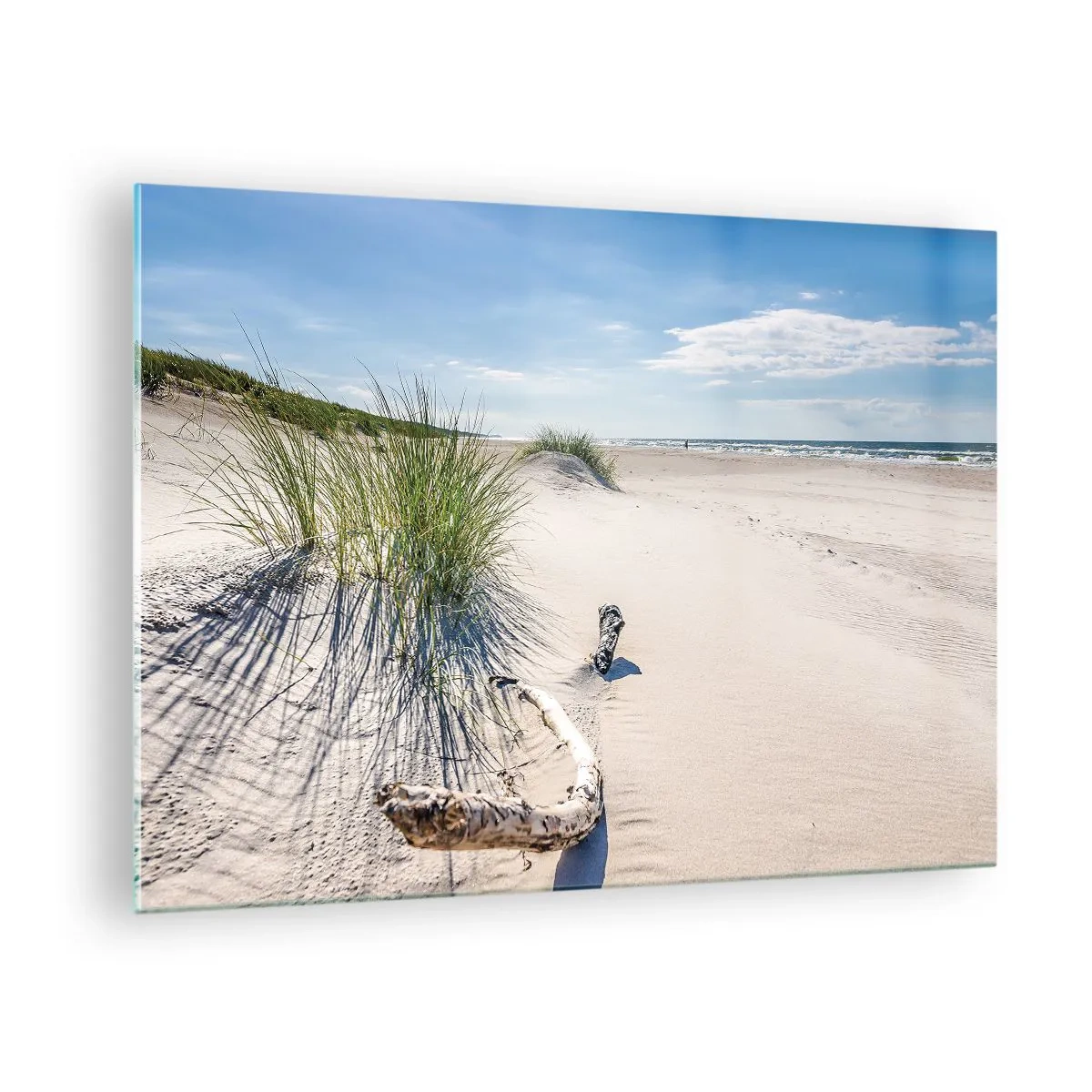 Billede på glas - En solrig strand med klitter og søgræs - 70x50cm - Den smukkeste? Baltisk - Moderne vægdekoration til stue og soveværelse ARTTOR