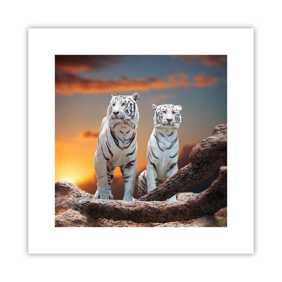 Plakat - Ligesom i Narnia - 30x30 cm