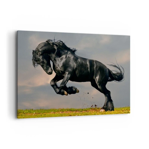 Lærredstryk - Billede på lærred - Smuk og fri - 100x70 cm
