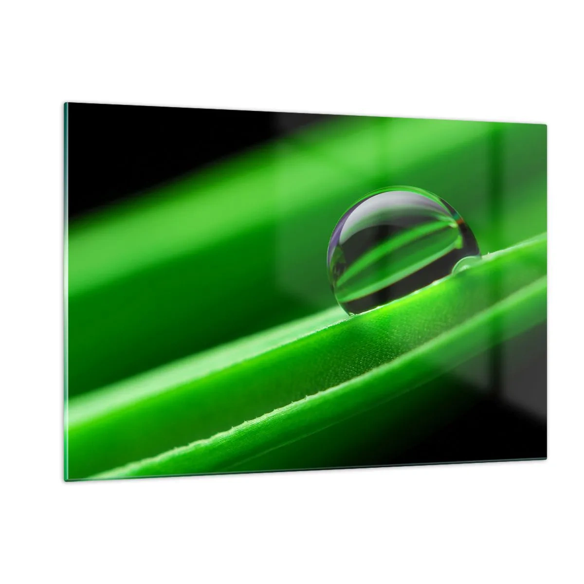 Billede på glas - Livet på tæt hold - 120x80 cm