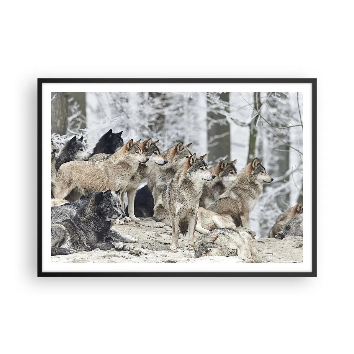Plakat i sort ramme - Familie og venner - 100x70 cm