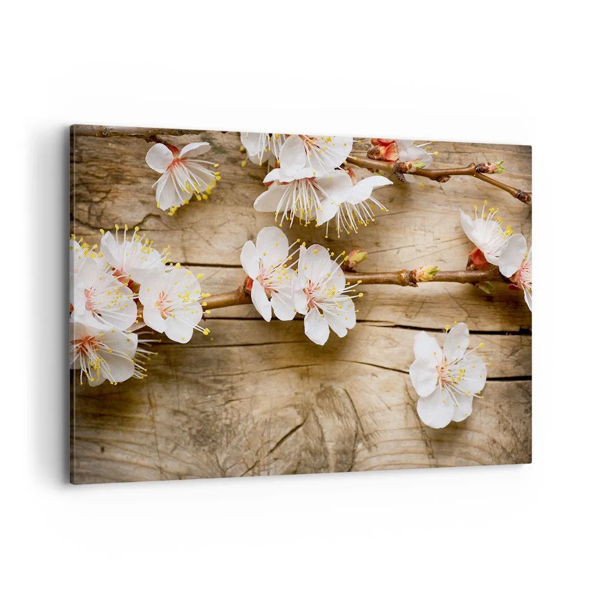 Lærredstryk - Billede på lærred - Og det blev forår - 120x80 cm