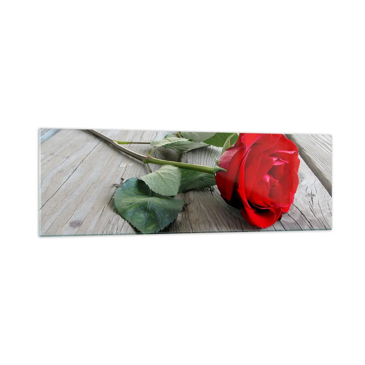 Billede på glas - Studie i skarlagenrødt - 160x50 cm