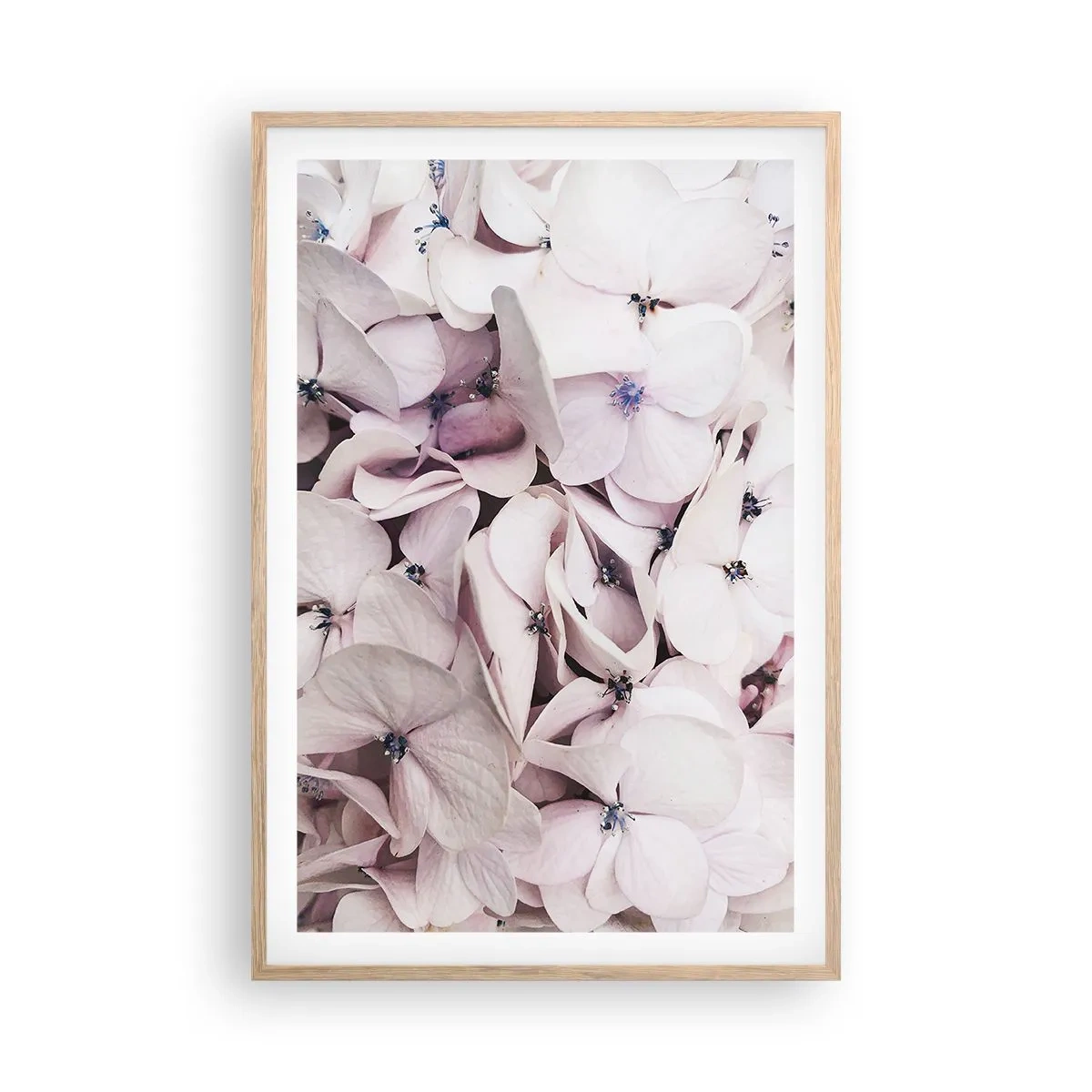 Plakat i ramme af lyst egetræ - I en flod af blomster - 61x91 cm