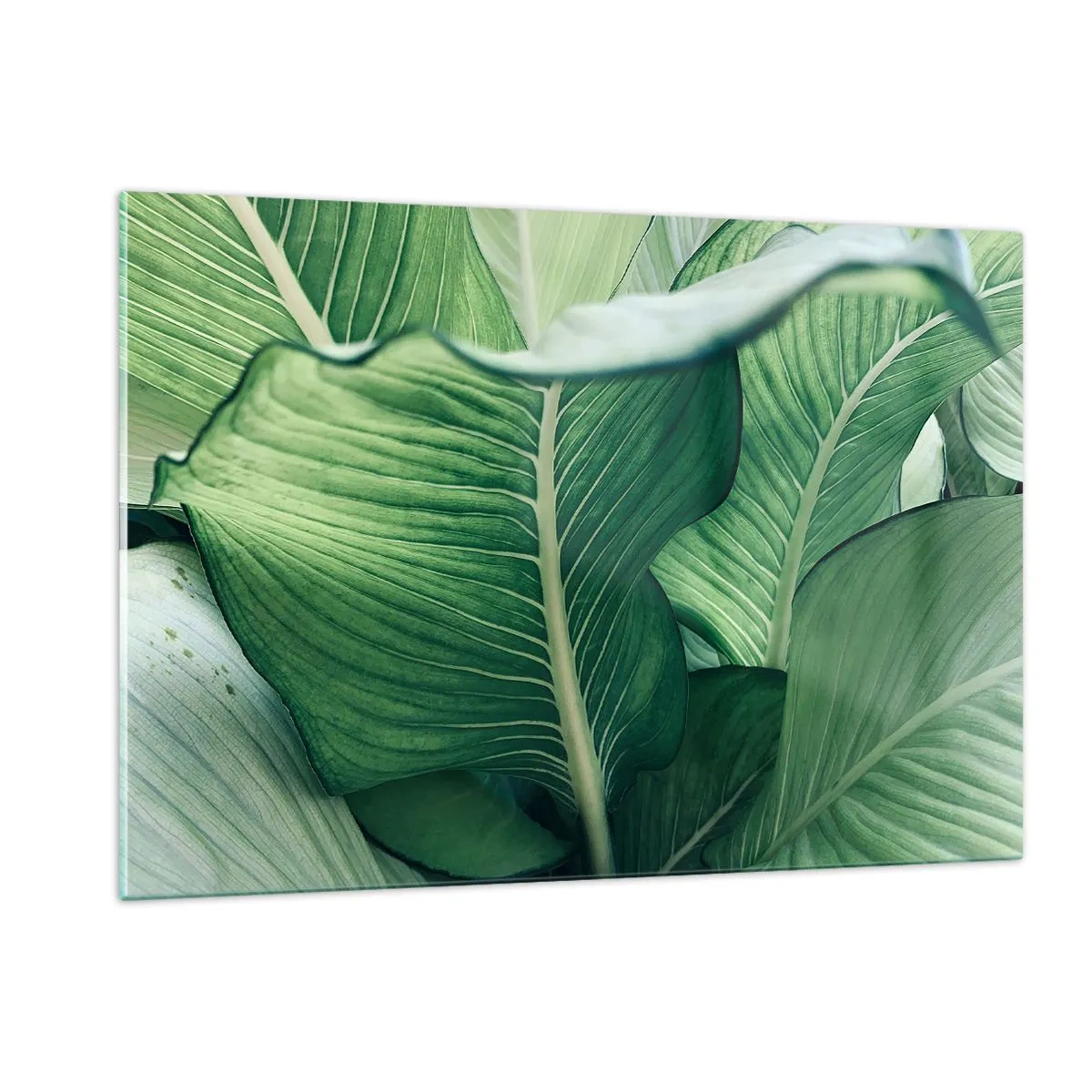 Billede på glas - Livet er intenst grønt - 120x80 cm