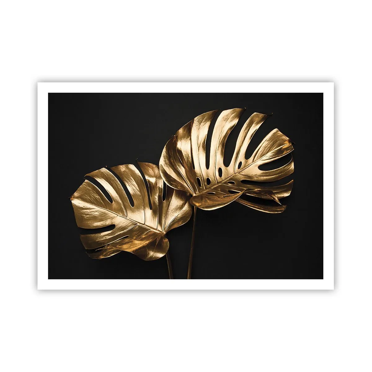 Plakat - Naturens skatte - 100x70 cm