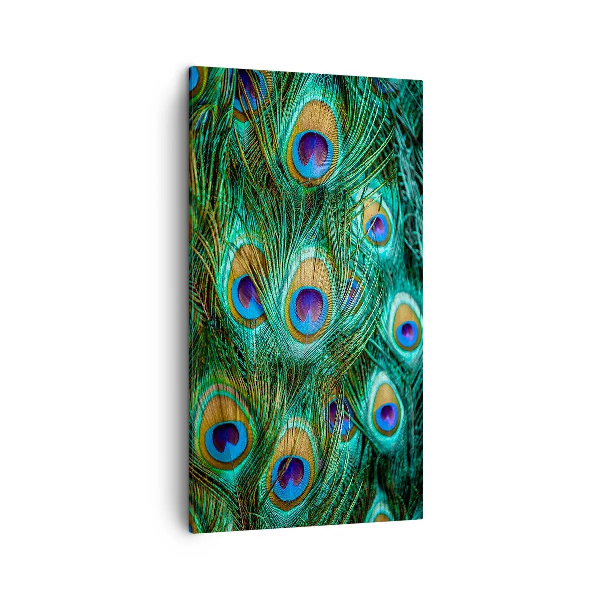 Lærredstryk - Billede på lærred - En påfugls blik - 45x80 cm