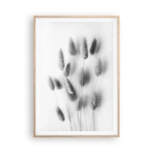Plakat i ramme af lyst egetræ - Dens bløde græs - 70x100 cm