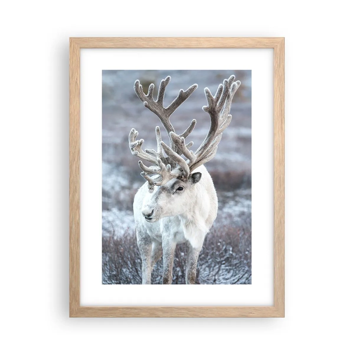 Plakat i ramme af lyst egetræ - Portræt i solen - 30x40 cm