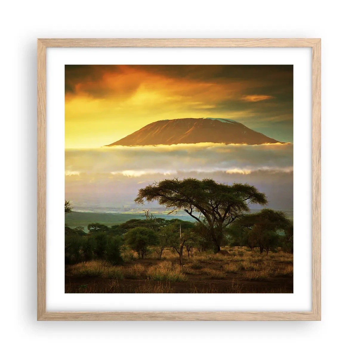 Plakat i ramme af lyst egetræ - En rejsendes drøm - 50x50 cm