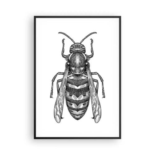 Plakat i sort ramme - Fra en insektplanet - 70x100 cm