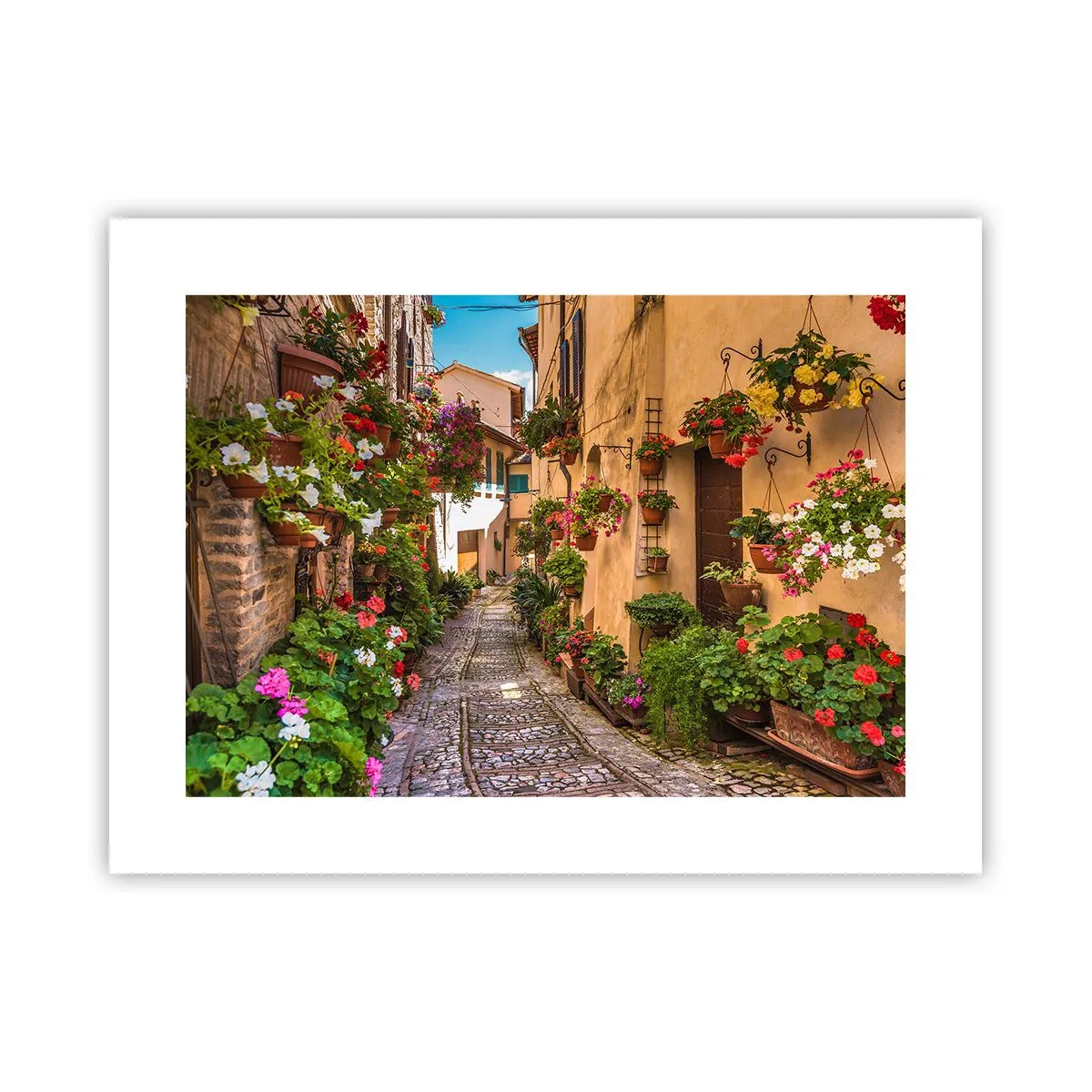 Plakat - Italiensk gyde - 40x30 cm