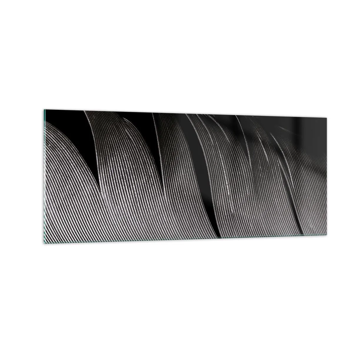 Billede på glas - Fjer - en vidunderlig konstruktion - 100x40 cm