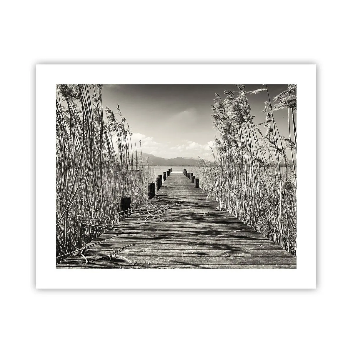 Plakat - I græssernes fred - 50x40 cm