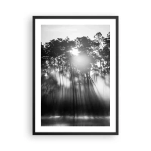 Plakat i sort ramme - Sort-hvid skovscene med solstråler i tågen - 50x70cm - Ustoppelig sol - Moderne vægdekoration til stue og soveværelse ARTTOR