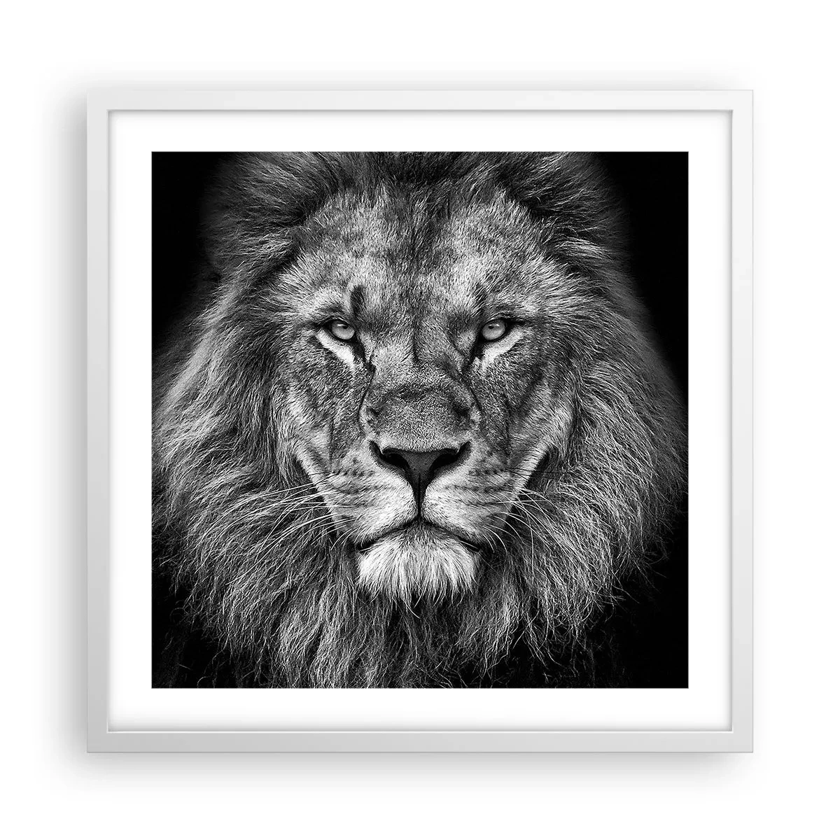 Plakat i hvid ramme - I kroningsklædning - 50x50 cm