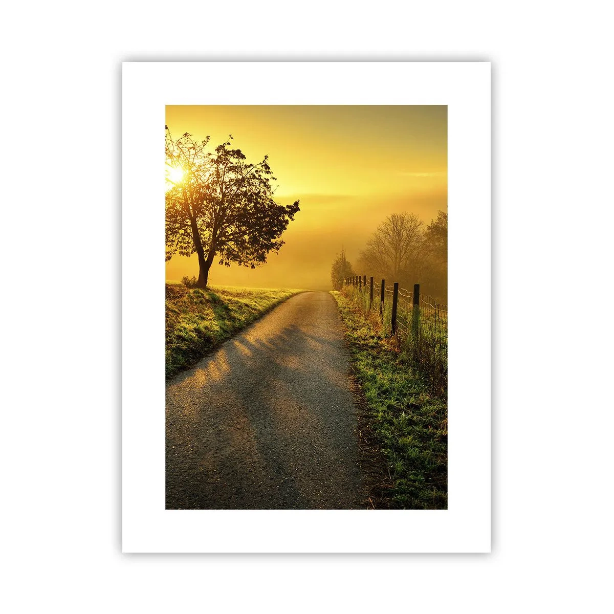 Plakat - Kære eftermiddag - 30x40 cm