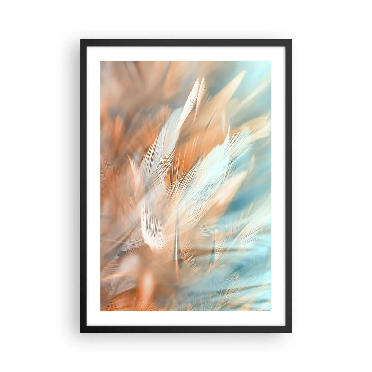 Plakat i sort ramme - Delikate fjer i nuancer af blå og fersken - 50x70cm - I mildhedens land - Moderne vægdekoration til stue og soveværelse ARTTOR