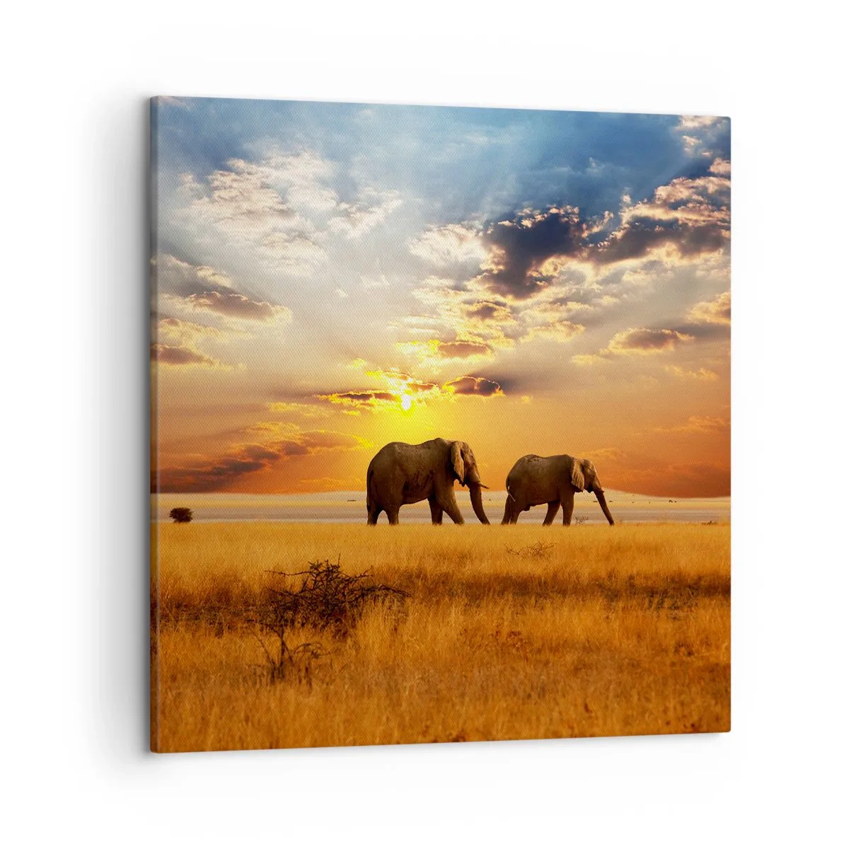 Lærredstryk - Billede på lærred - Familievandring - 50x50 cm