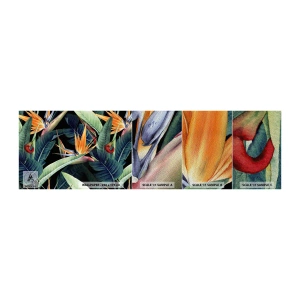 Prøve Fototapet Premium Sand - Flammeblomster i troperne - Strelitzia Royal, Blomst, Afrika - 100x30 cm