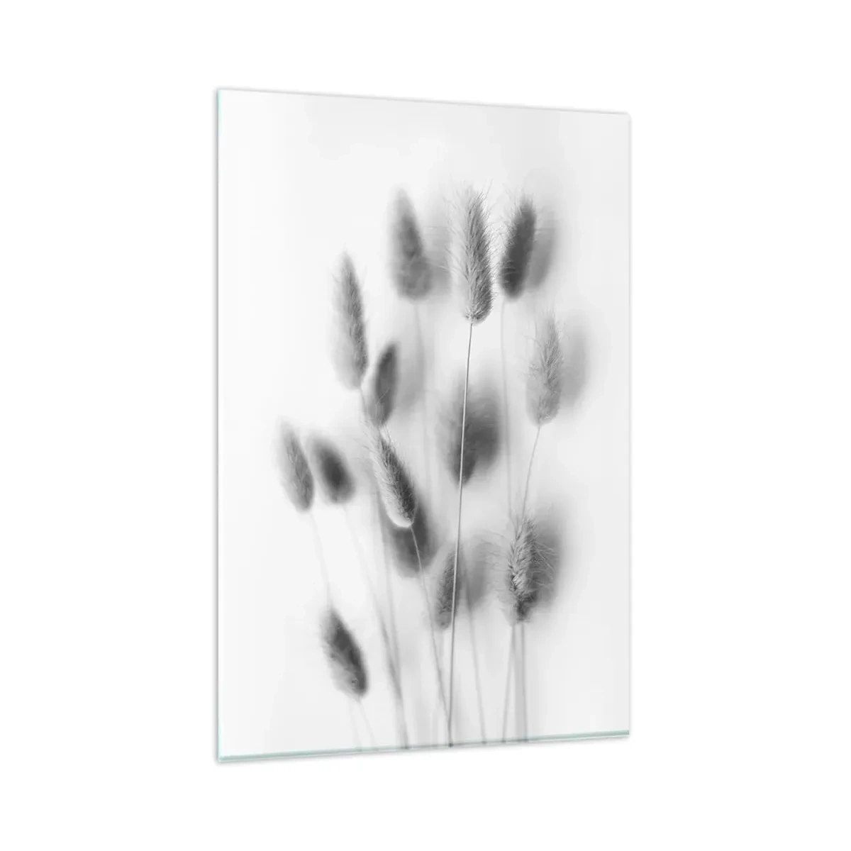 Billede på glas - Dens bløde græs - 80x120 cm