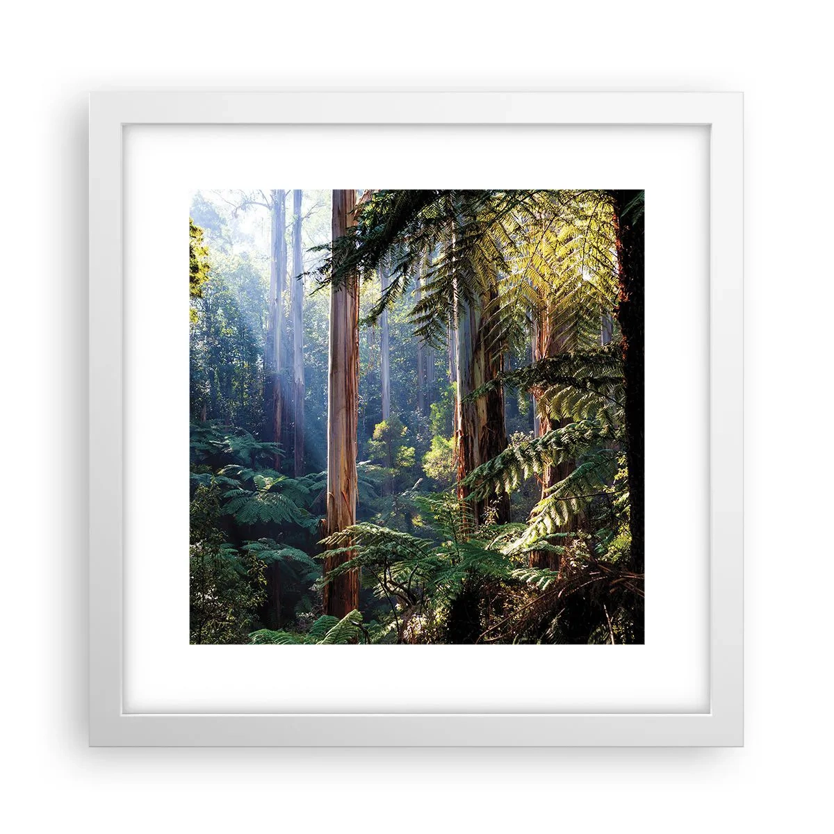 Plakat i hvid ramme - En fortælling om skoven - 30x30 cm