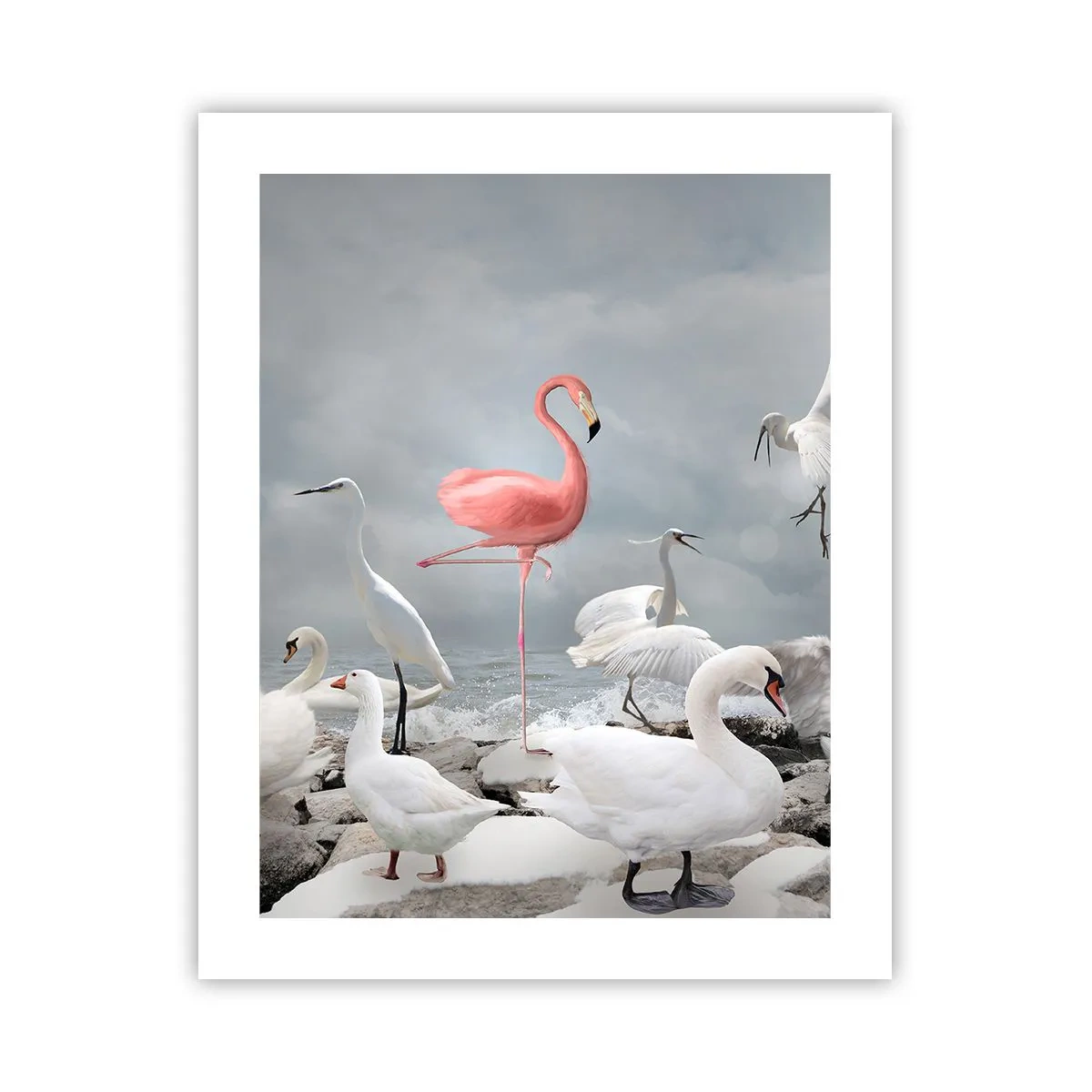 Plakat - Hvor kommer jeg fra? - 40x50 cm
