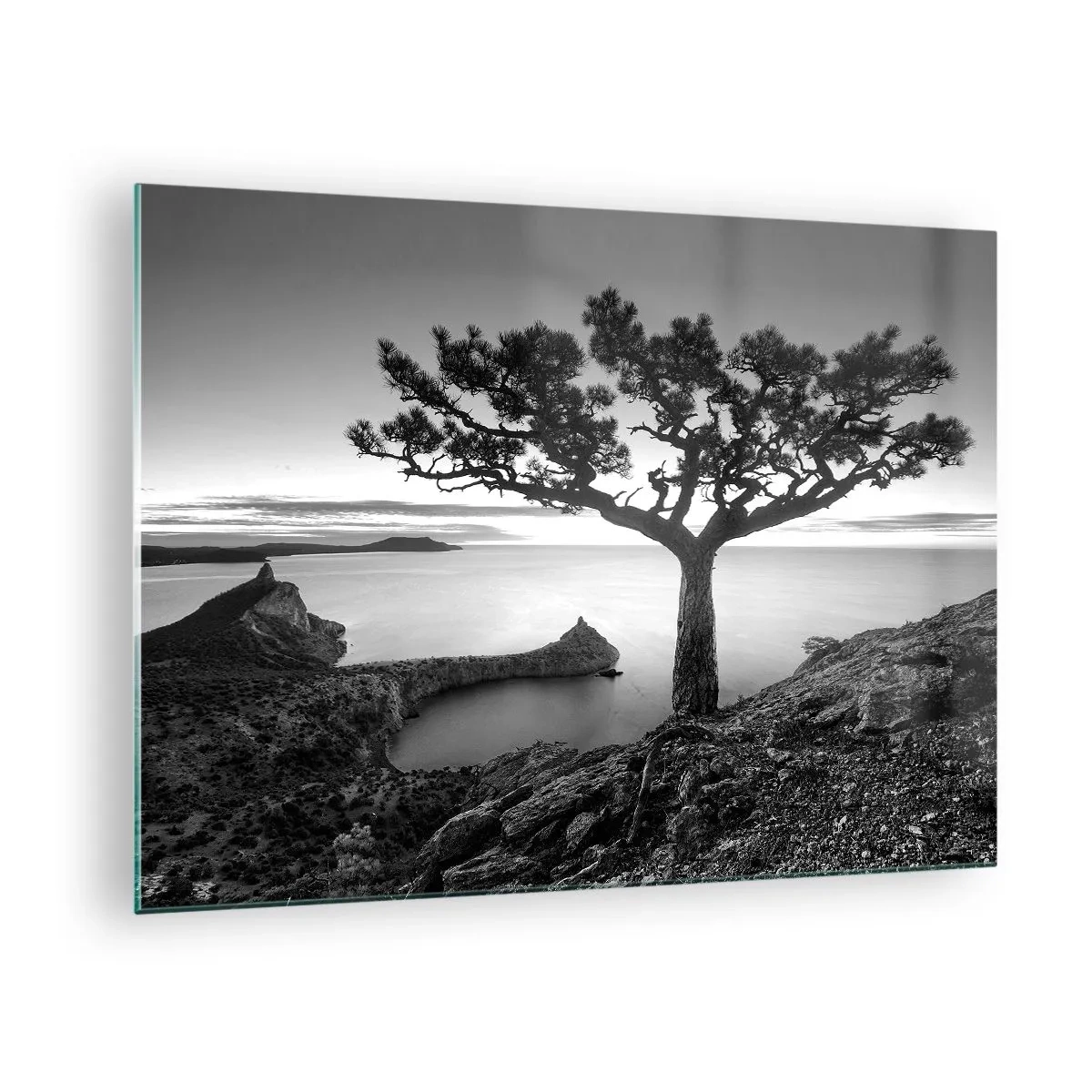 Billede på glas - Et træ på en klippe med udsigt over bugten - 70x50cm - Fred hele vejen til horisonten - Moderne vægdekoration til stue og soveværelse ARTTOR