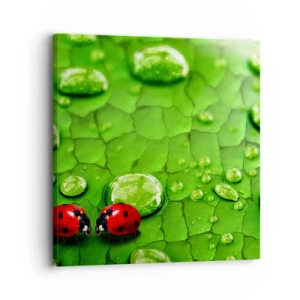 Lærredstryk - Billede på lærred - Møde i det grønne - 30x30 cm