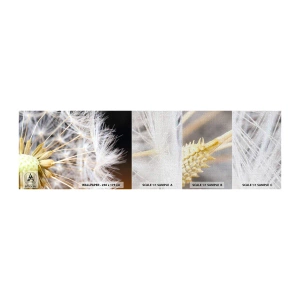 Prøve Fototapet Premium Canvas - Lige før afrejse - Blomst, Plante, Natur - 100x30 cm