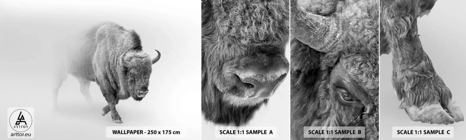 Prøve Fototapet Selvklæbende Deluxe Sticker - Kongen af prærien - Wisent, Dyr, Bison - 100x30 cm