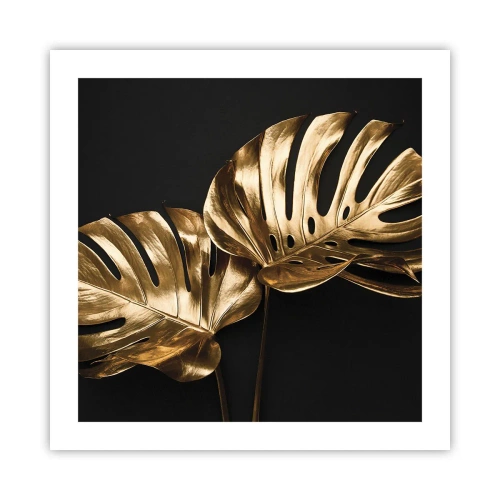 Plakat - Naturens skatte - 50x50 cm