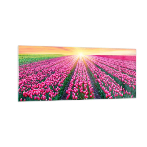 Billede på glas - Skønhedsfarm - 100x40 cm