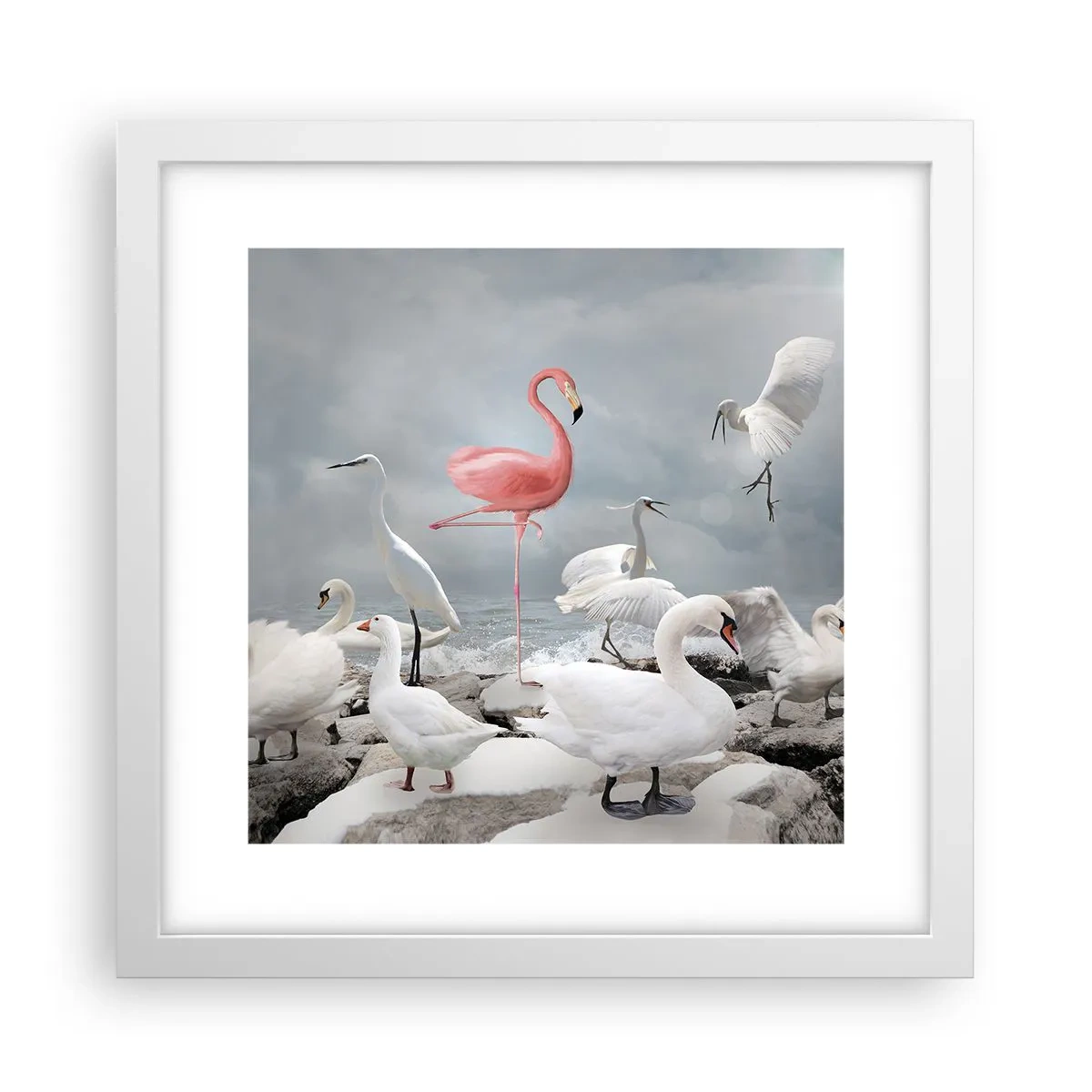 Plakat i hvid ramme - Hvor kommer jeg fra? - 30x30 cm