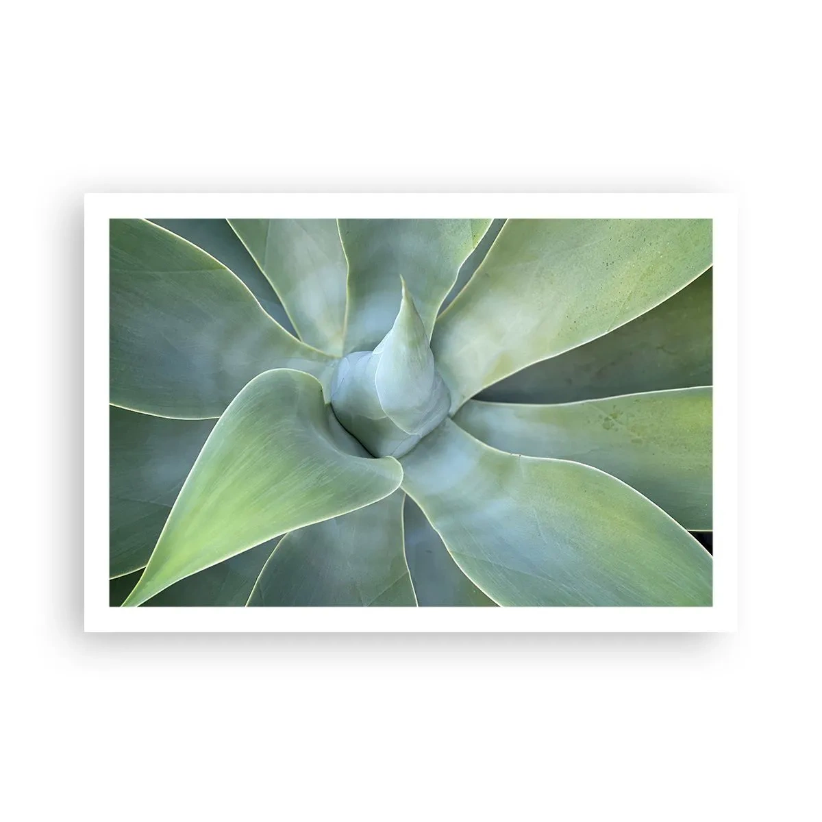 Plakat - Den grønne fødsel - 91x61 cm