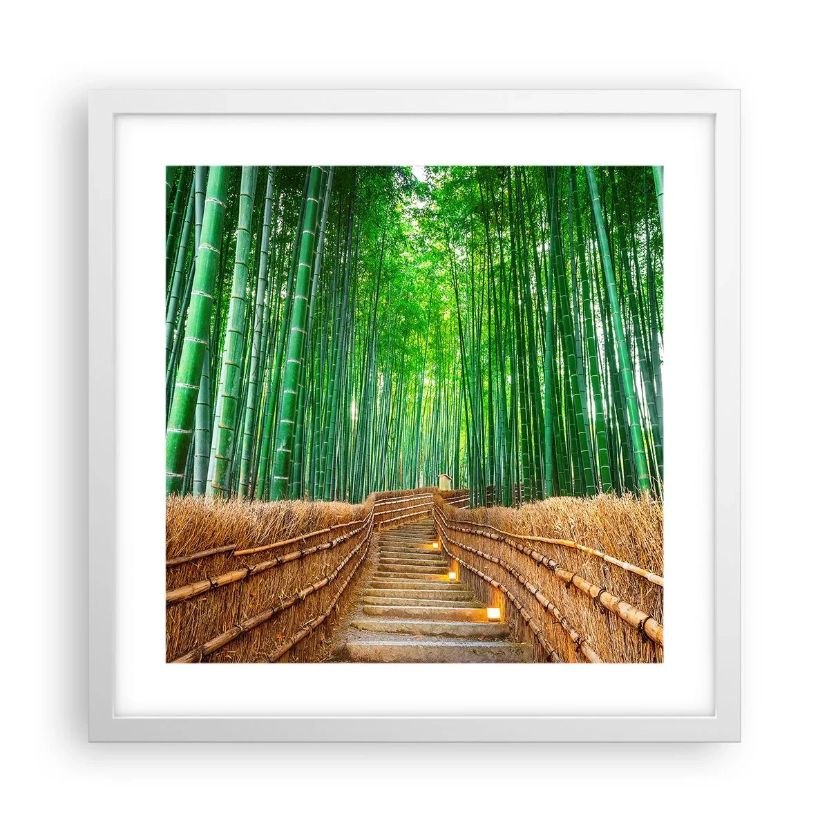 Plakat i hvid ramme - Essensen af den asiatiske natur - 40x40 cm