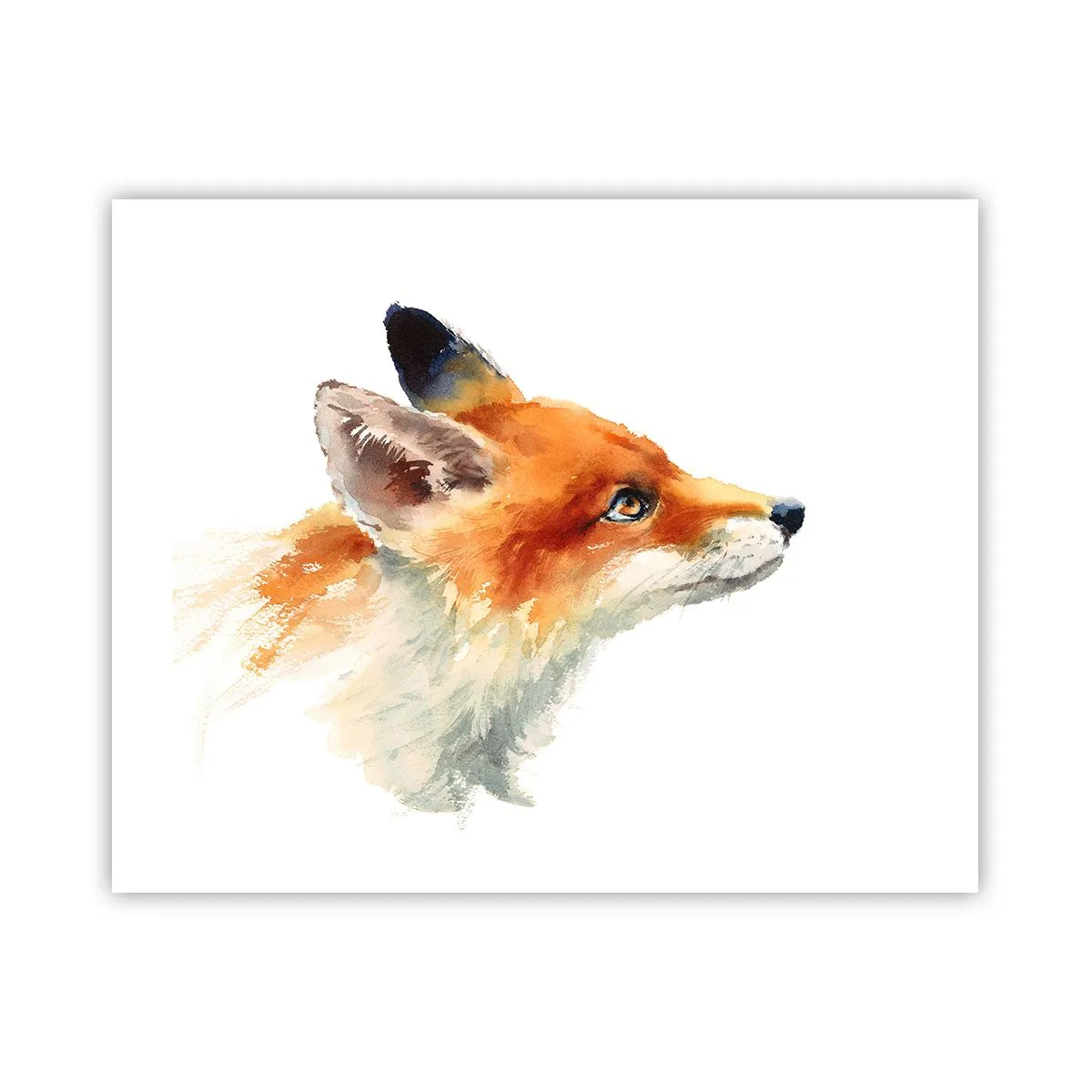 Plakat - Man kan aldrig være for forsigtig - 50x40 cm